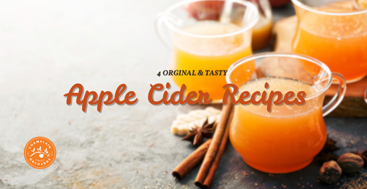 a banner image showcasing 4 apple cider recipes to try in 2025 & beyond