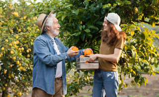A Connoisseur's Guide to Champlain Orchards' Finest Hard Cider Brands