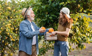 A Connoisseur's Guide to Champlain Orchards' Finest Hard Cider Brands