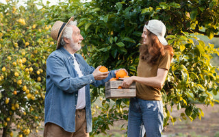A Connoisseur's Guide to Champlain Orchards' Finest Hard Cider Brands