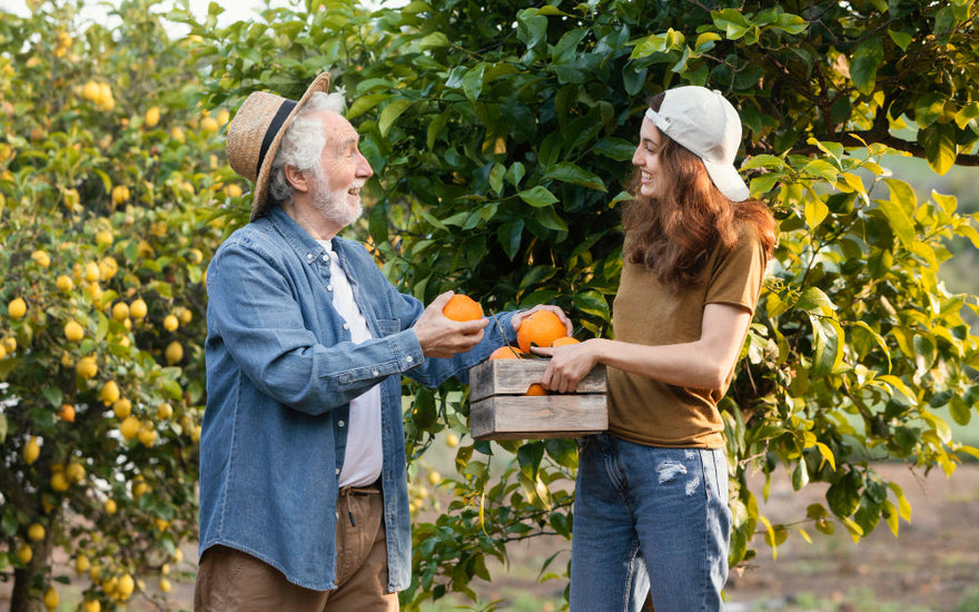A Connoisseur's Guide to Champlain Orchards' Finest Hard Cider Brands