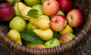 How to Make a Fruit Basket at Home Using Fresh Vermont Fruit