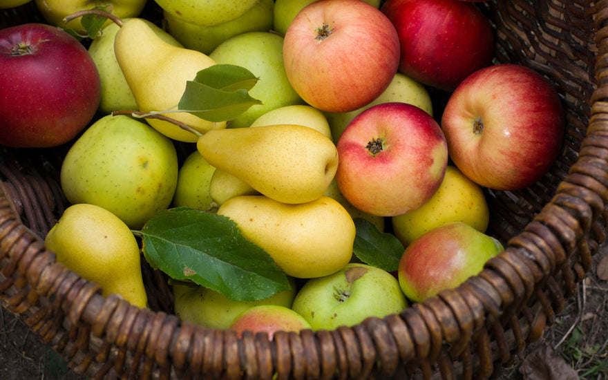 How to Make a Fruit Basket at Home Using Fresh Vermont Fruit