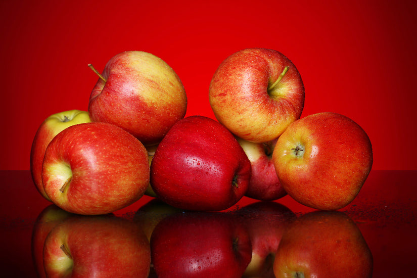 Red Apples Guide: Health Benefits & Best Uses – Champlain Orchards