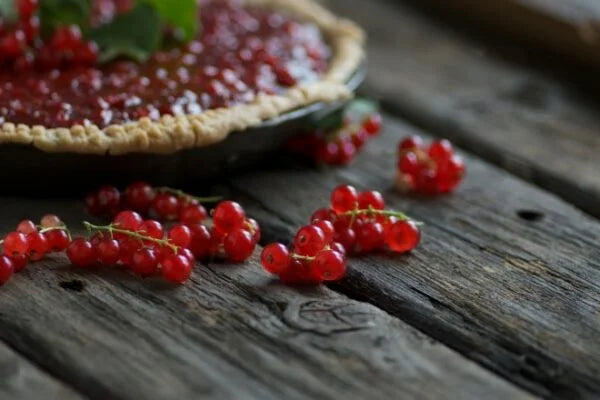 Red Currant Sourdough Pie