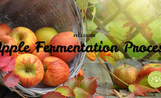Updated Guide To Apple Cider Fermentation Process