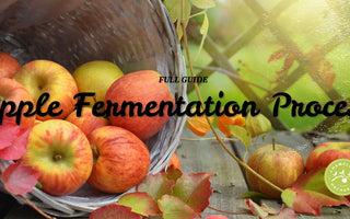 Updated Guide To Apple Cider Fermentation Process