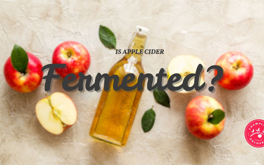 Is Apple Cider Fermented? Alcohol Content, Taste, and Culinary Applications