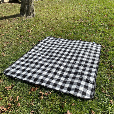 Picnic Blanket / Stadium Cushion