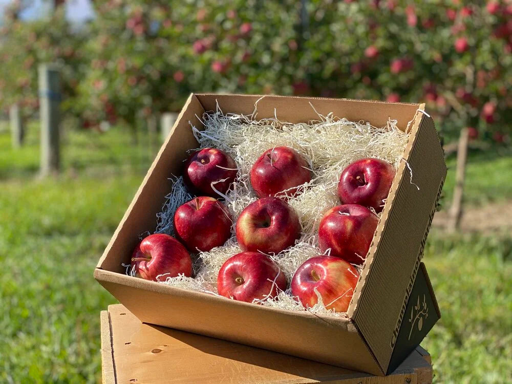 Apple Box Inners McIntosh Apple Box – Champlain Orchards
