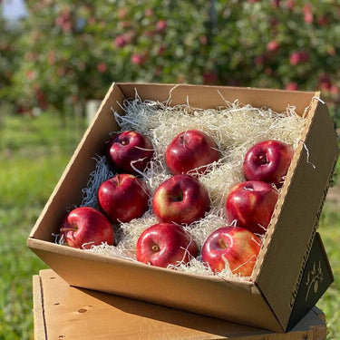 red apple gift box