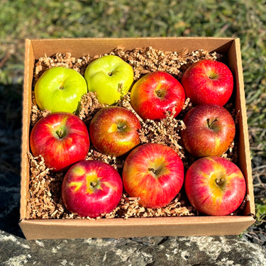 Heirloom Apple Baker's Box