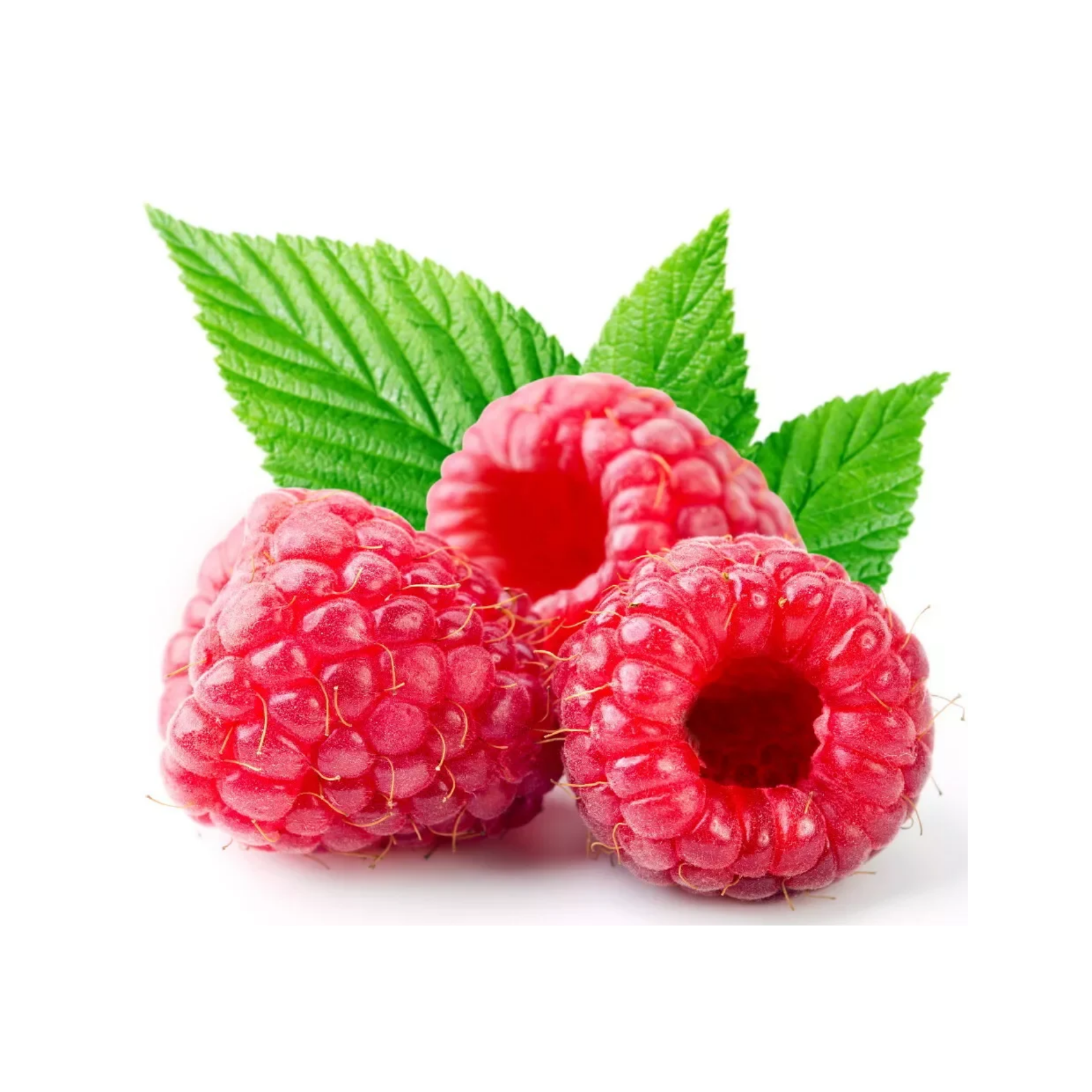 Heritage Red Raspberry