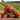 Hand holding a container of strawberries with a strawberry field in the background