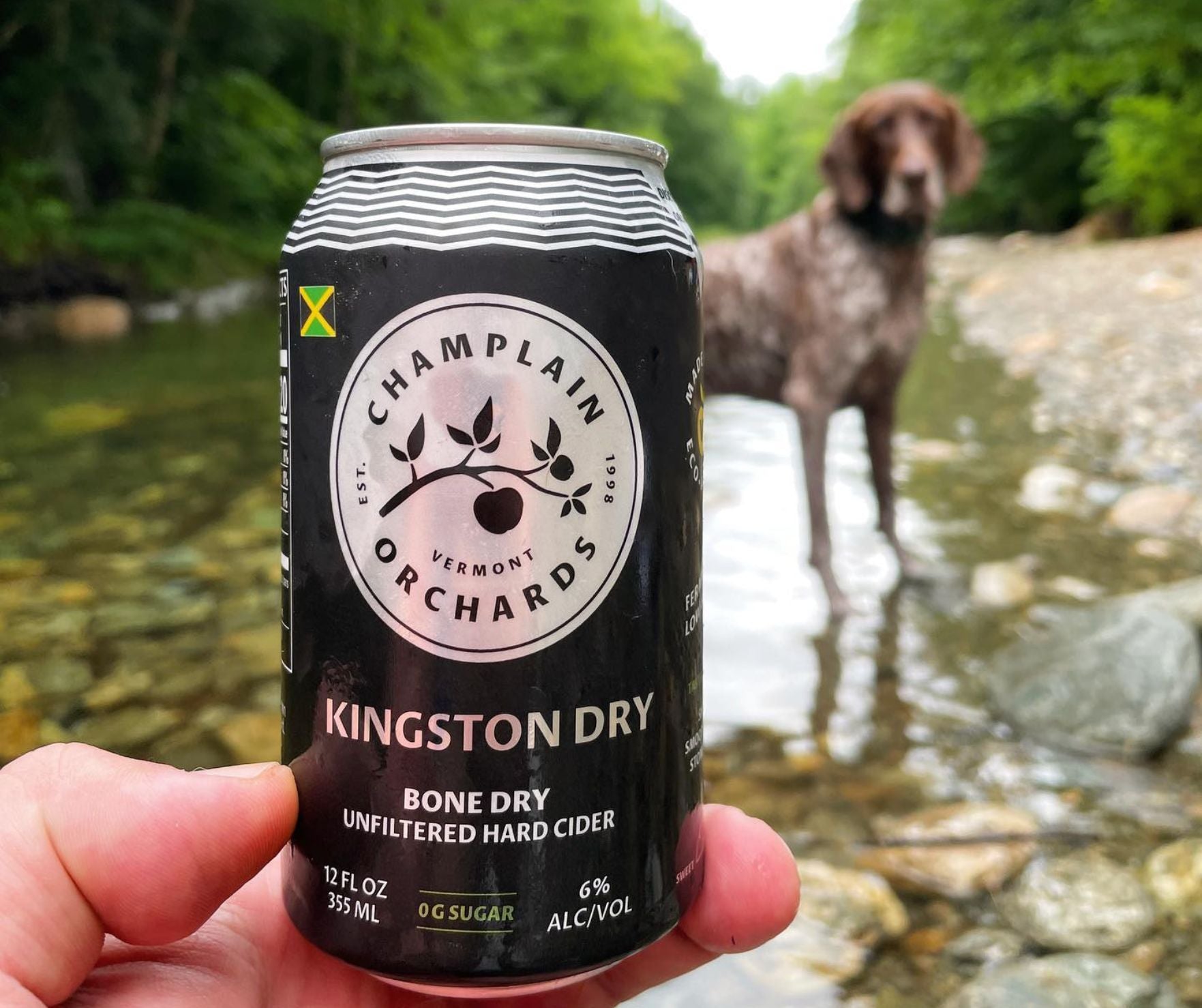 KINGSTON DRY