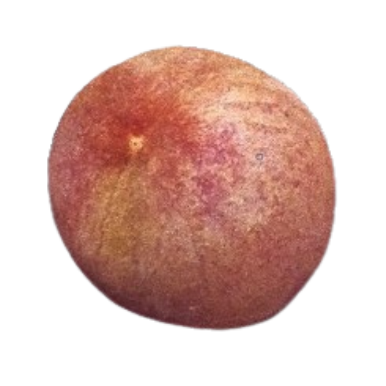 Blood Peach