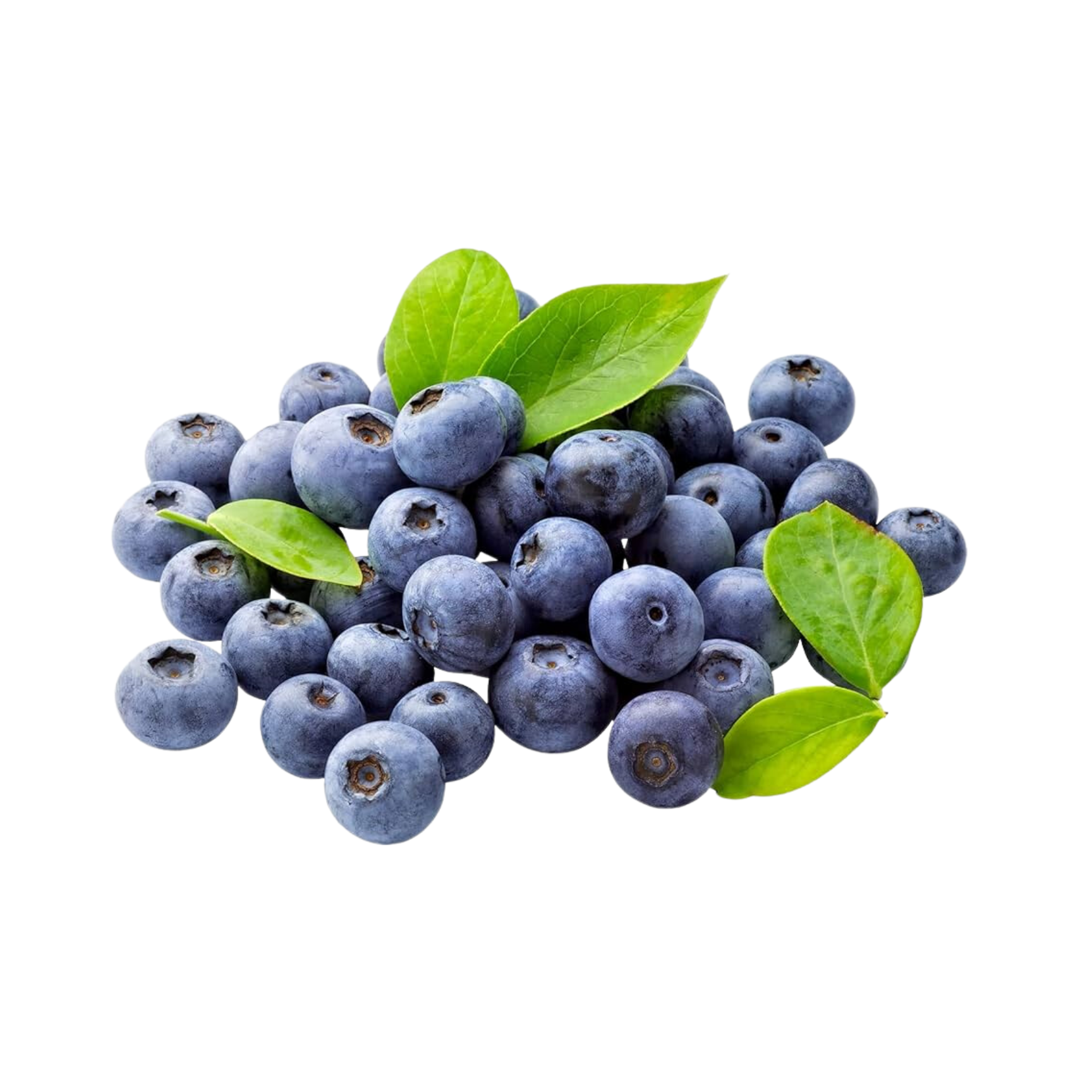 Blueberry