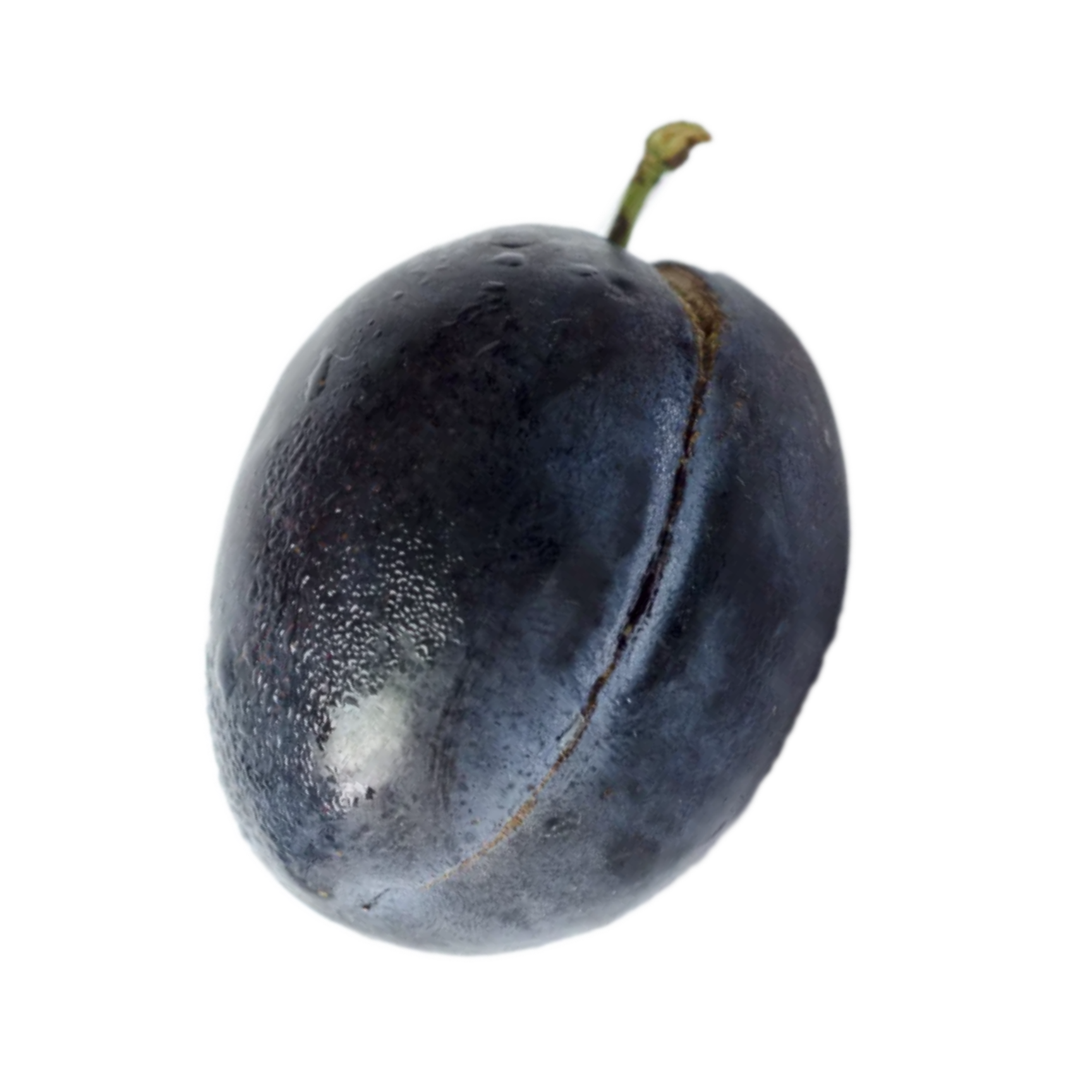 Castleton Plum