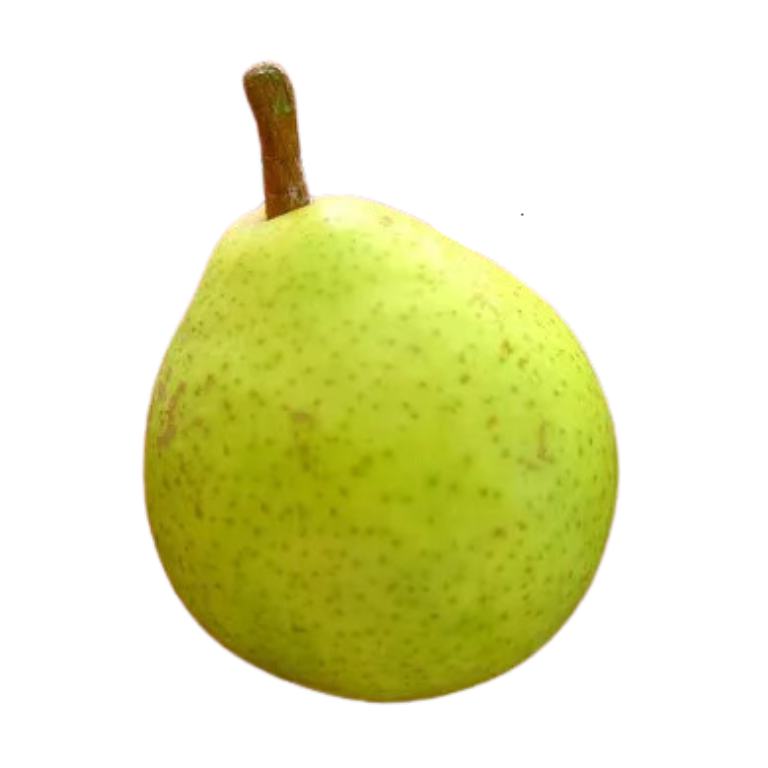 Clara Frijs European Pear