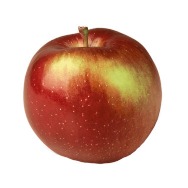 Empire Apple Tree