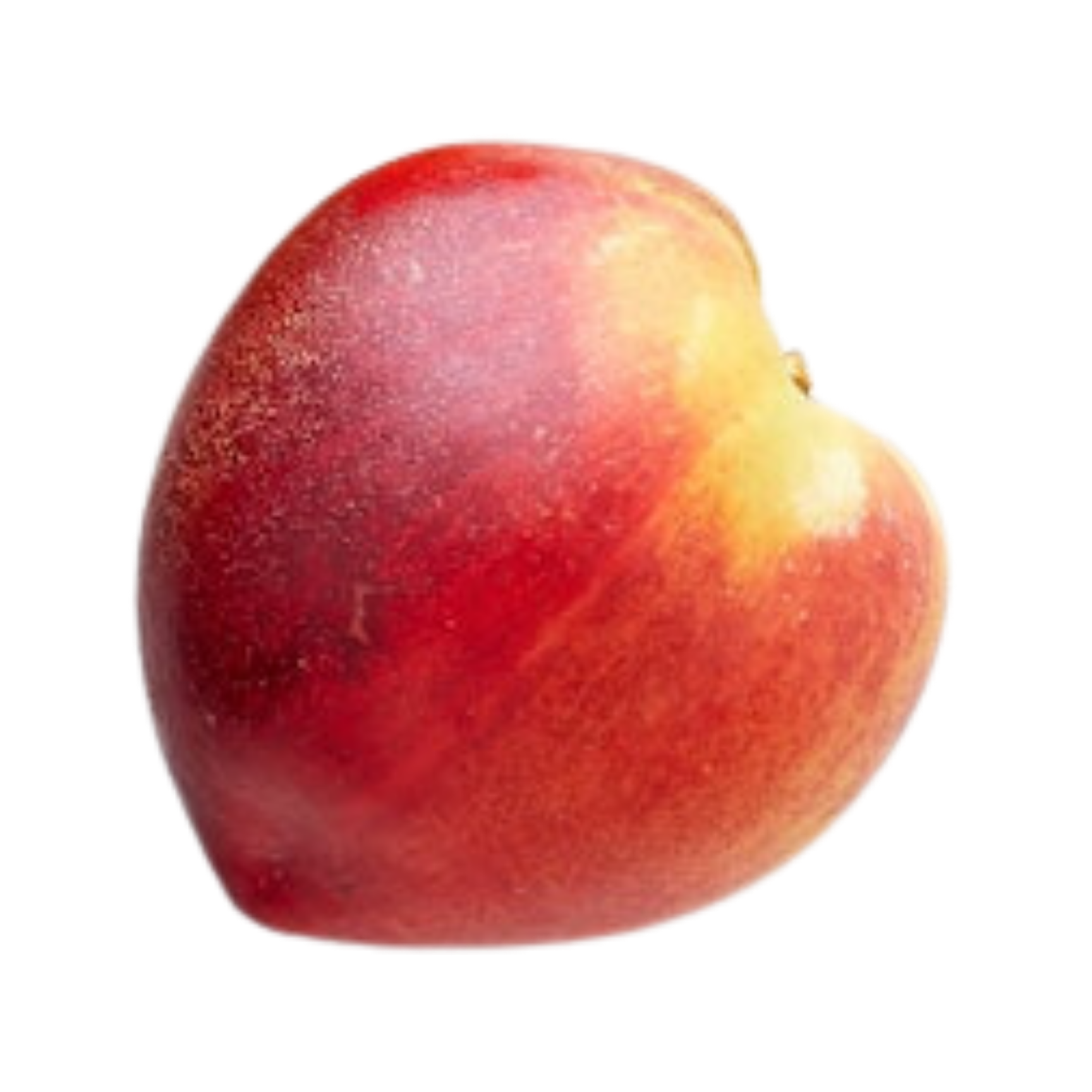 Fantasia Nectarine