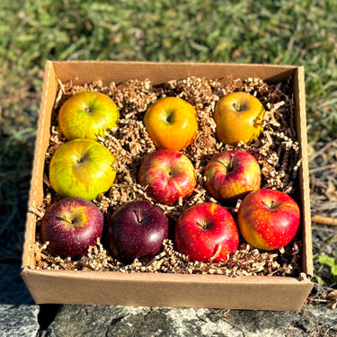 mixed variety apple gift box