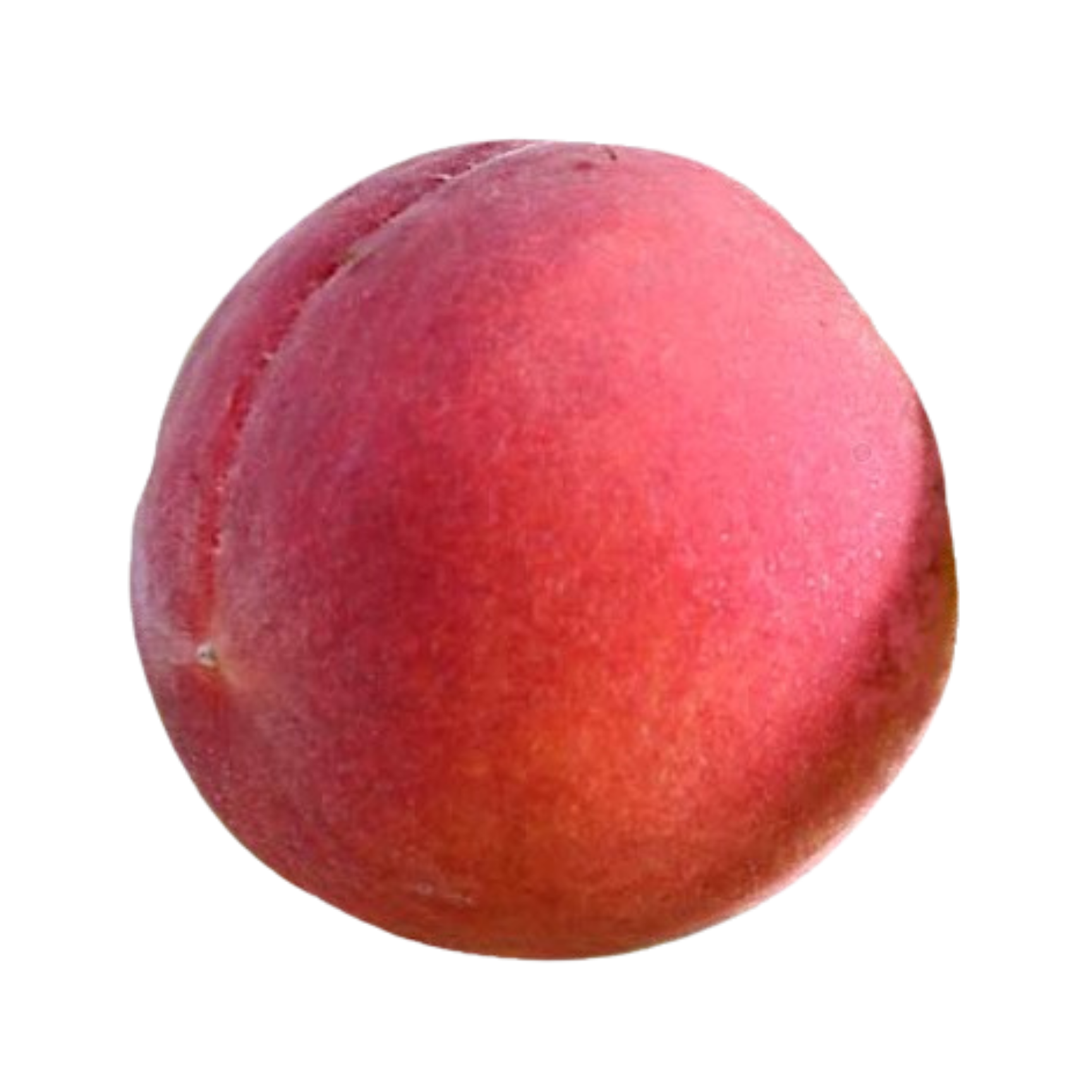 Gloria Peach