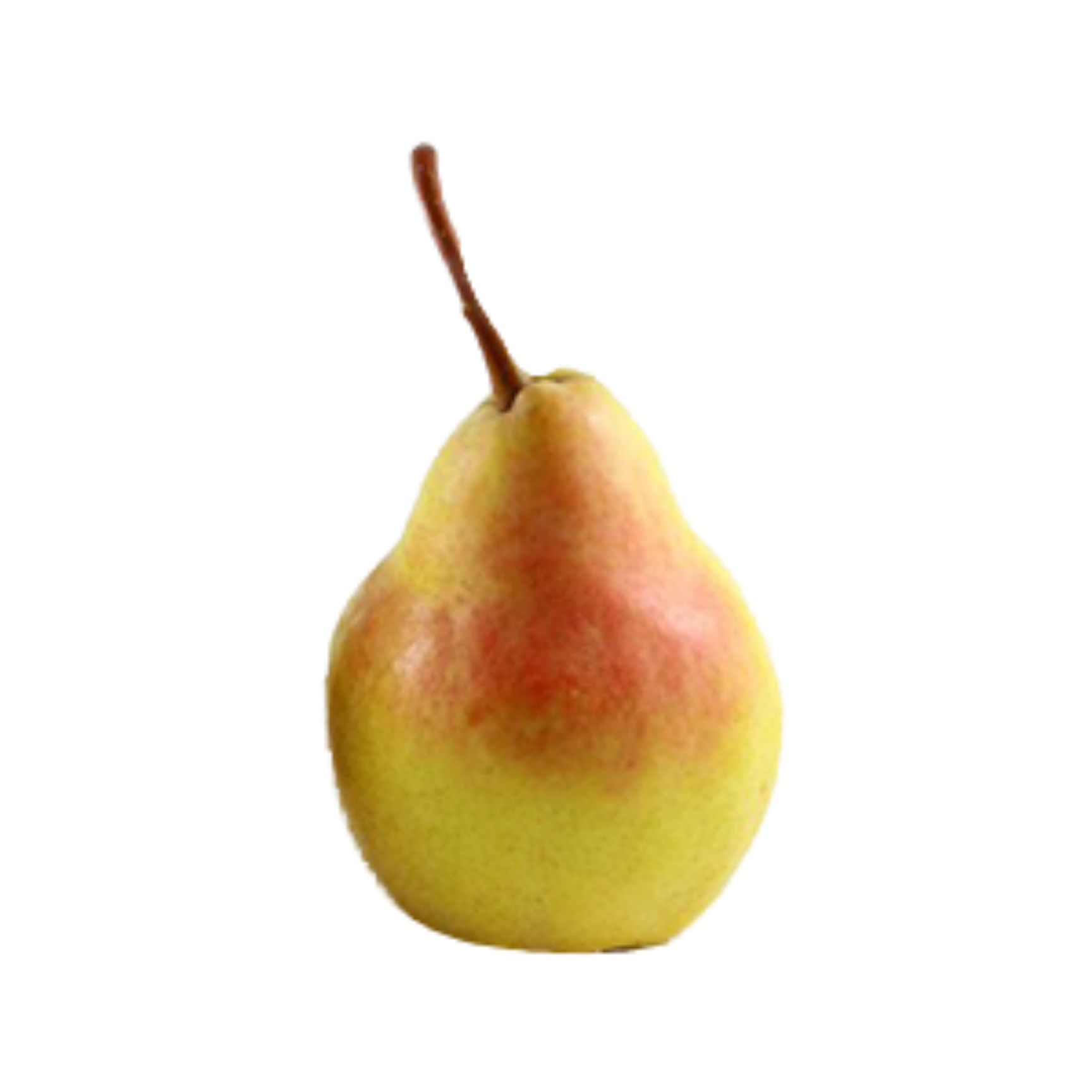 Harrow Crisp European Pear