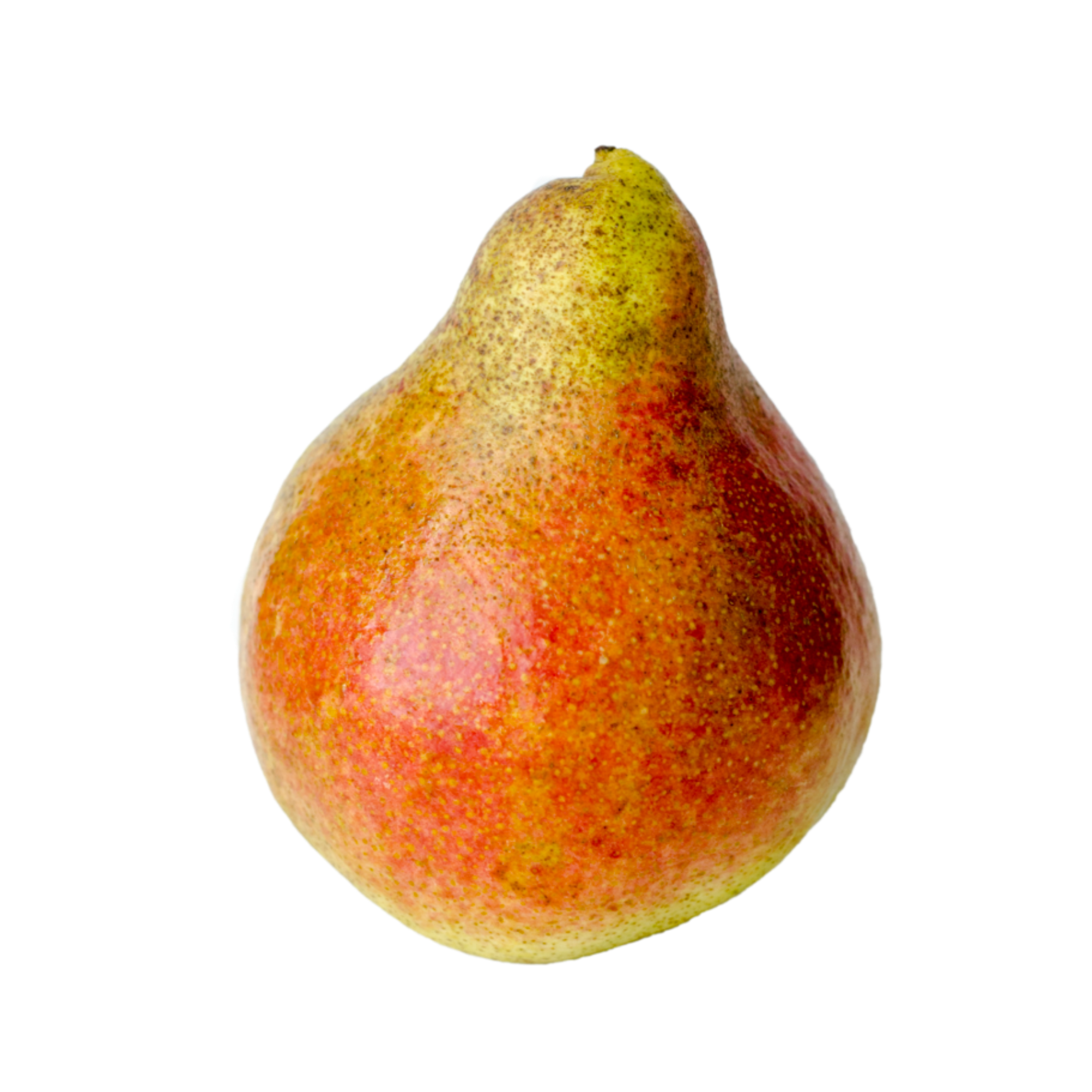 Harrow Sweet Pear