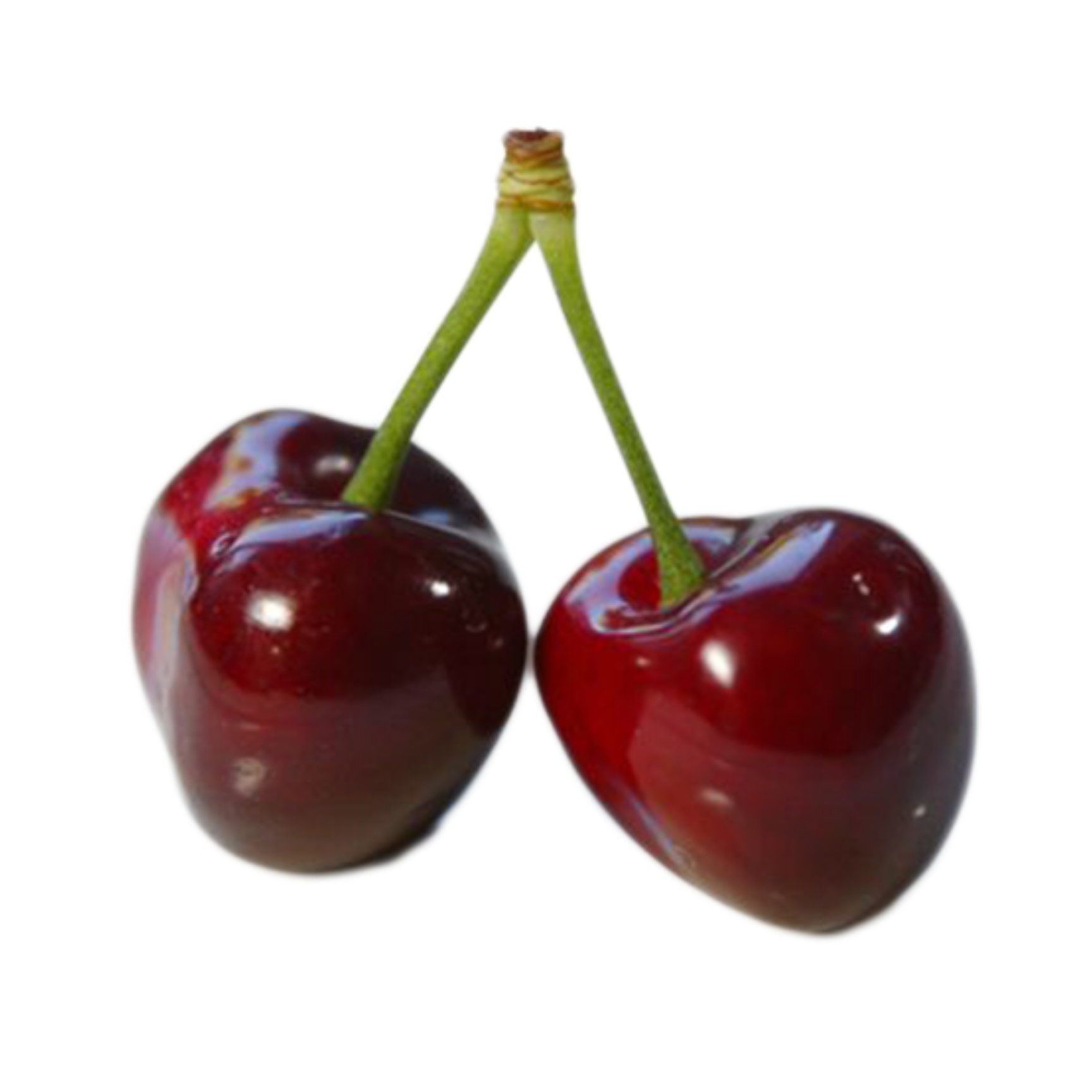 Hartland Cherry