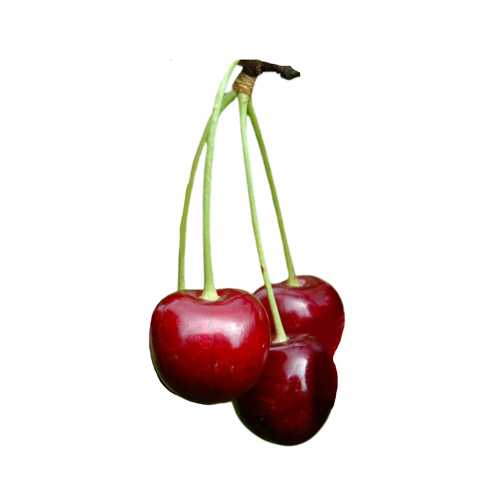 Hedelfigen Sweet Cherry