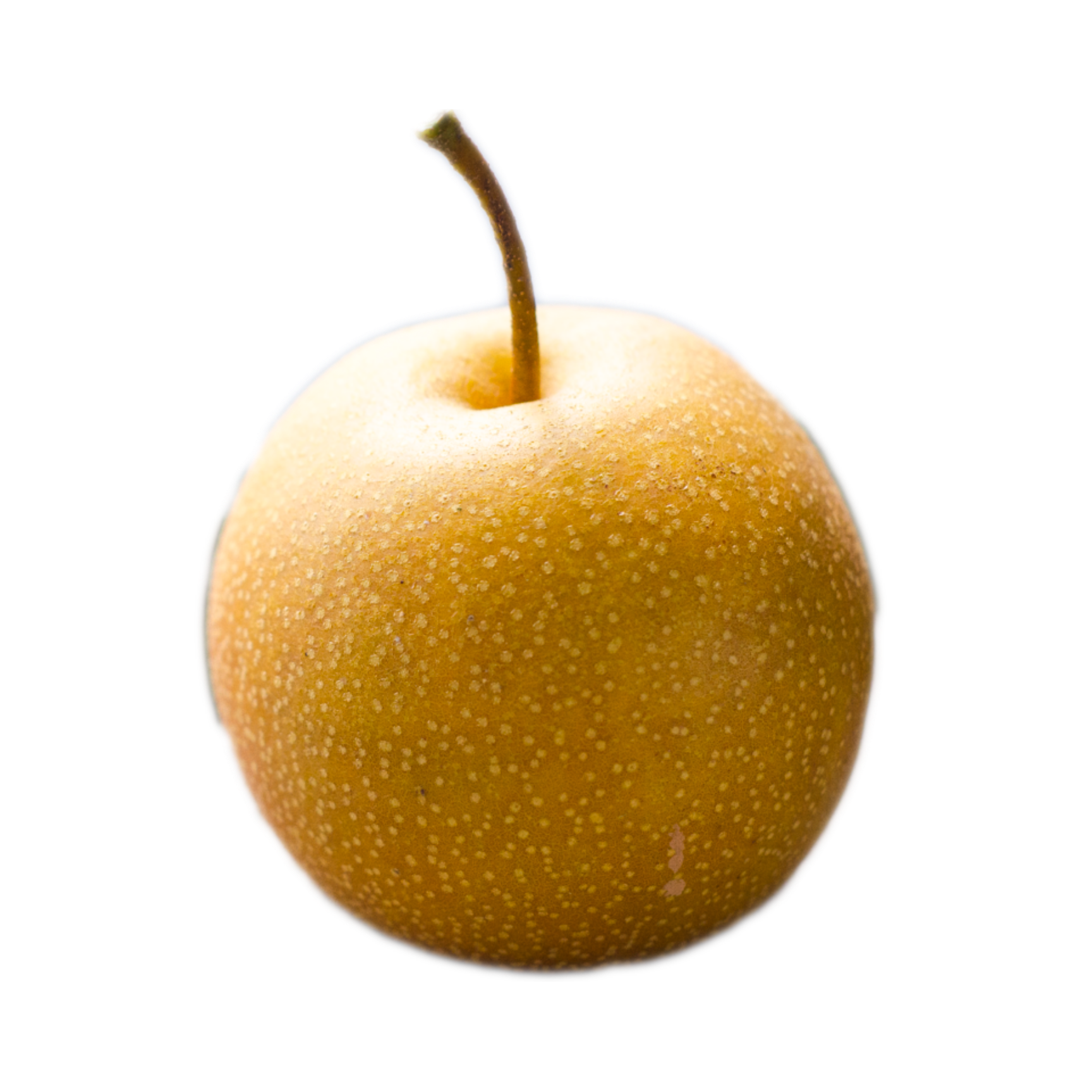 Hosui Asian Pear