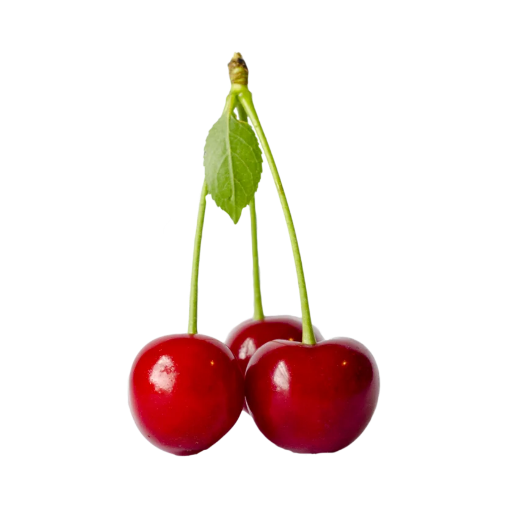 Jubileum Tart Cherry