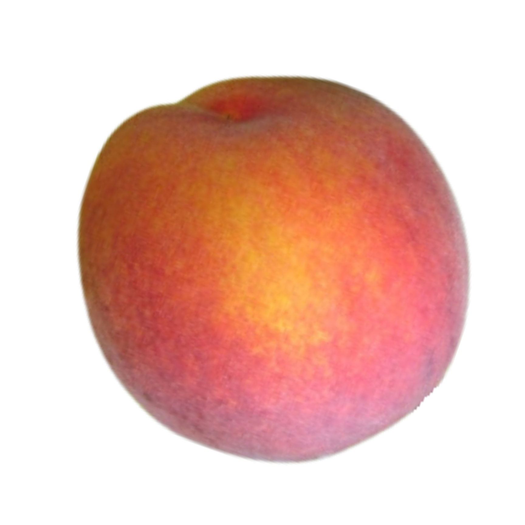 Laurol Peach