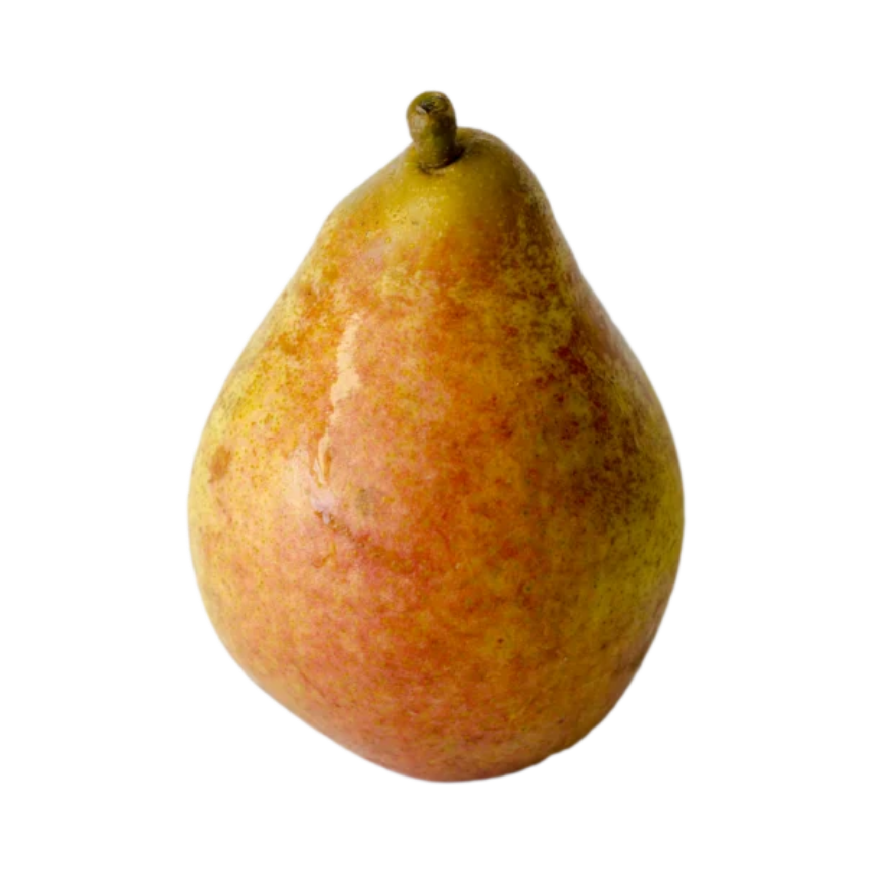 Magness Pear – Champlain Orchards