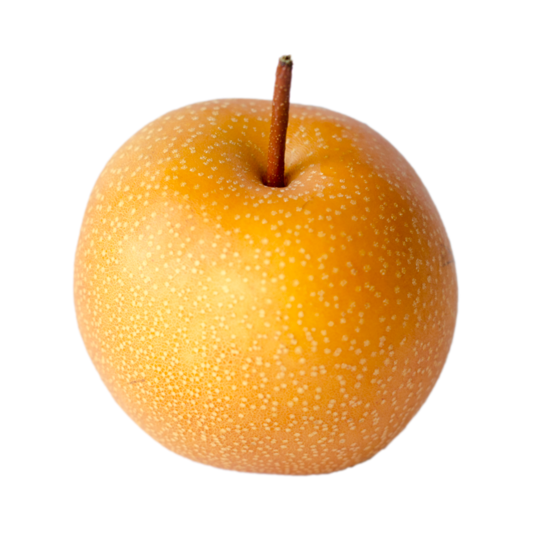 Niitaka Pear