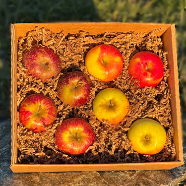 Orchardist's Pick Apple Box
