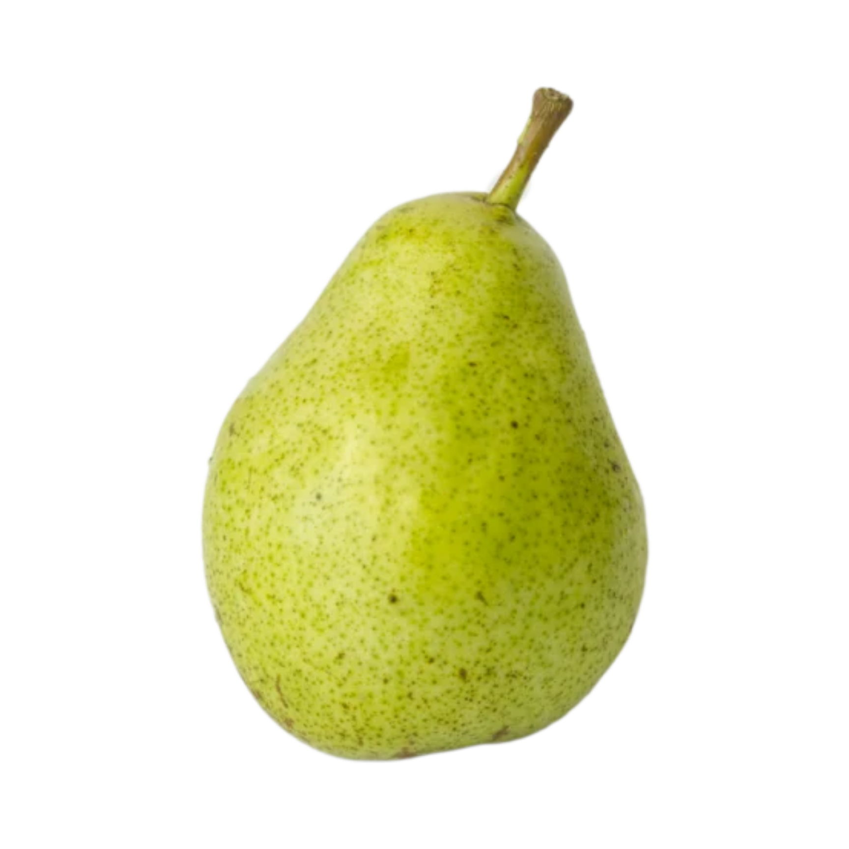 Potomac European Pear