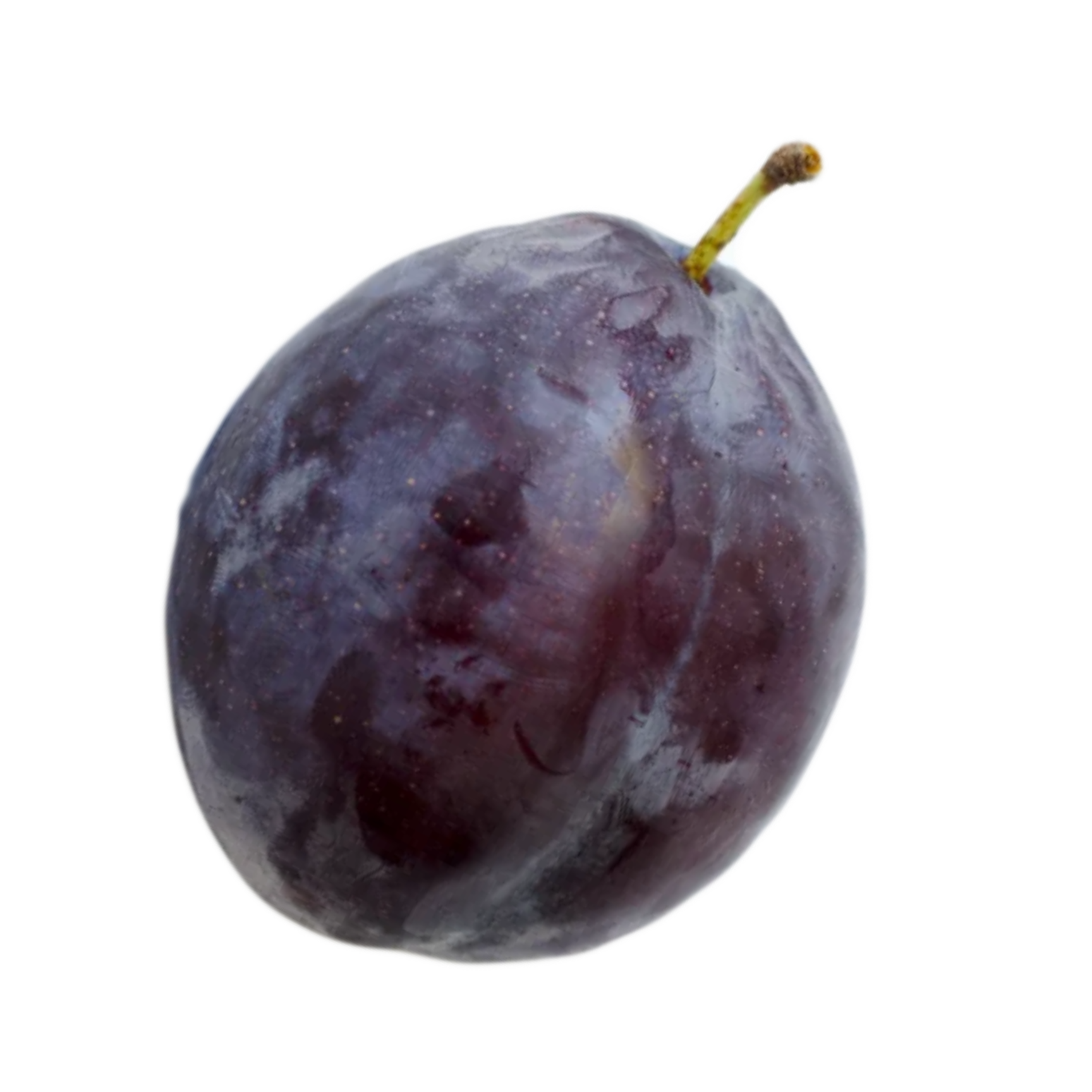 President Plum
