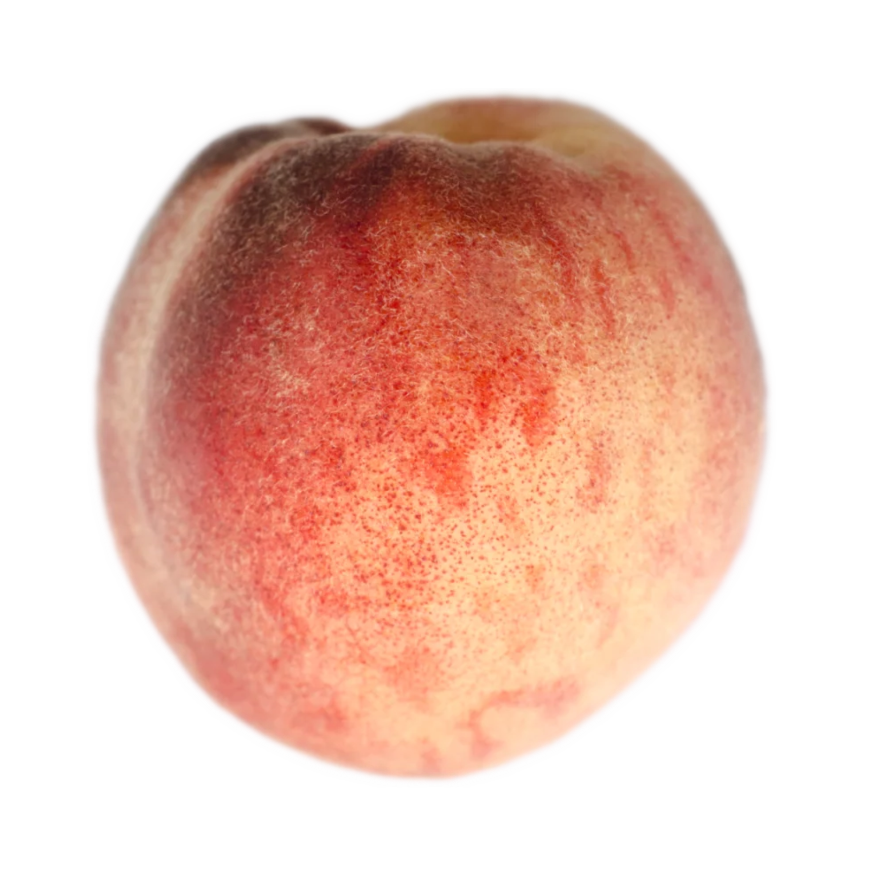 Raritan Rose Peach