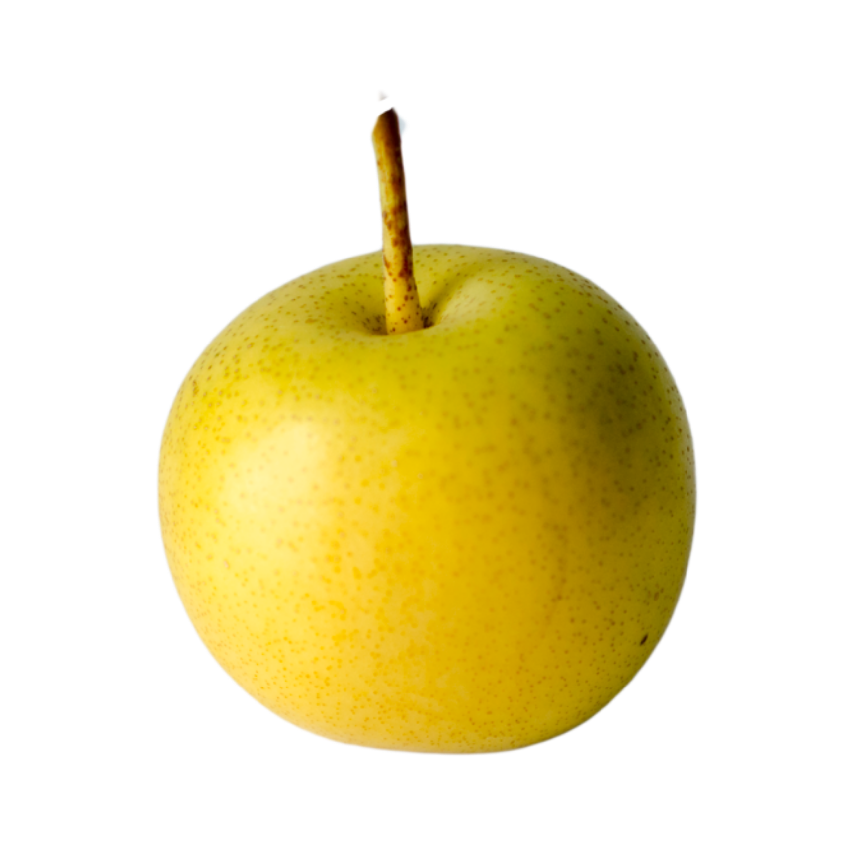 Shinseiki Asian Pear