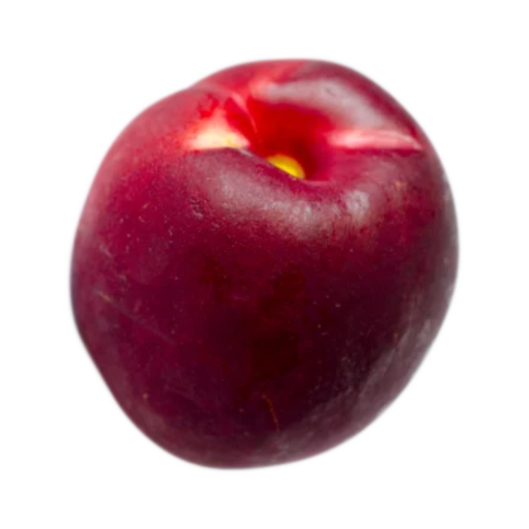 Silver Gem Nectarine