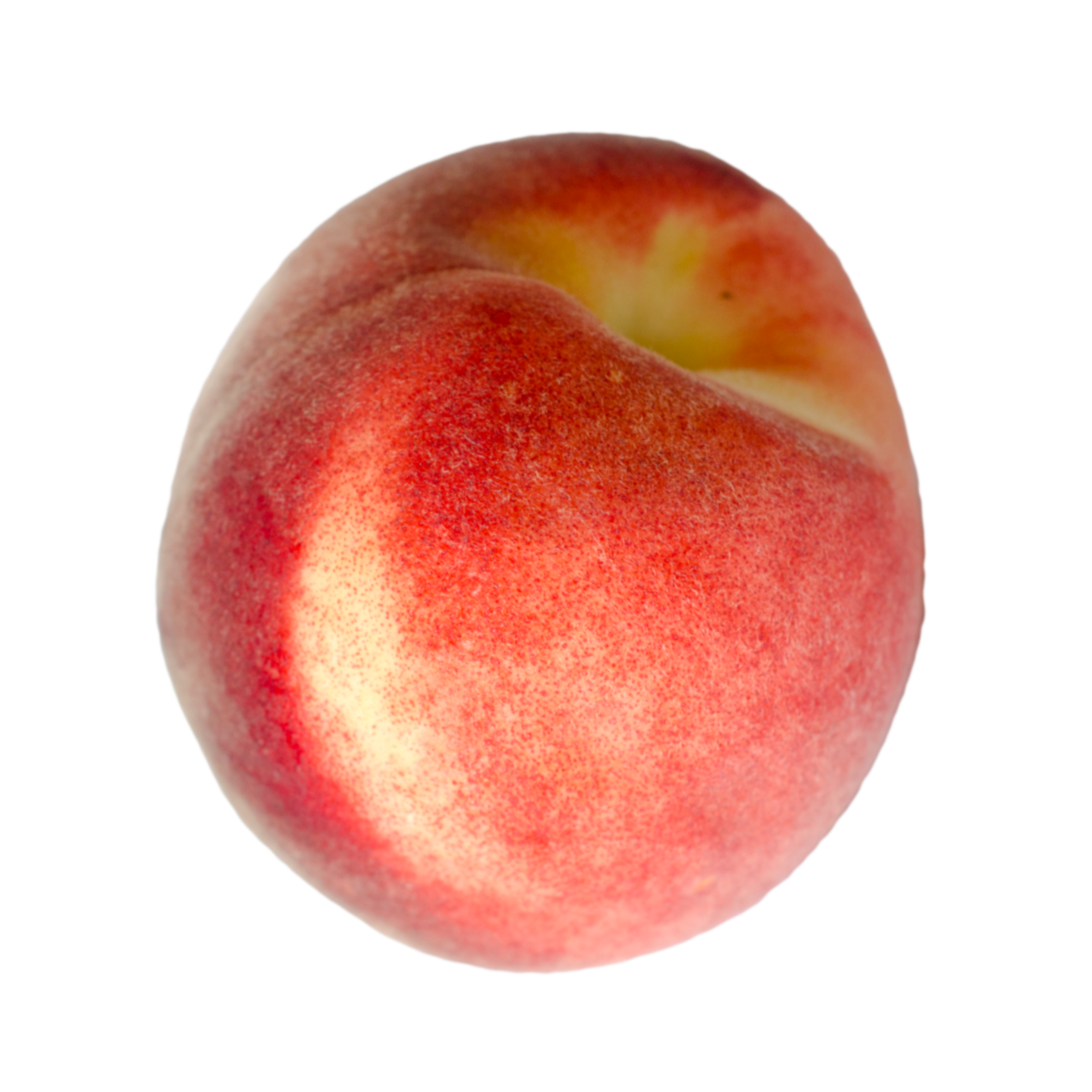 White Lady Peach